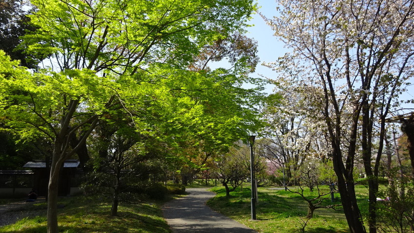 f:id:shioshiohida:20220407145337j:plain