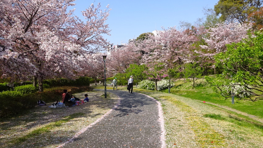 f:id:shioshiohida:20220407145550j:plain