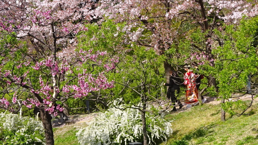 f:id:shioshiohida:20220407145701j:plain