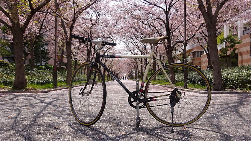 f:id:shioshiohida:20220408113646j:plain