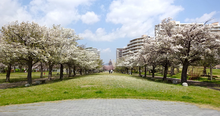 f:id:shioshiohida:20220408114205j:plain