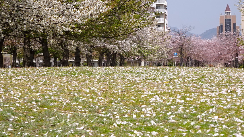 f:id:shioshiohida:20220408114521j:plain