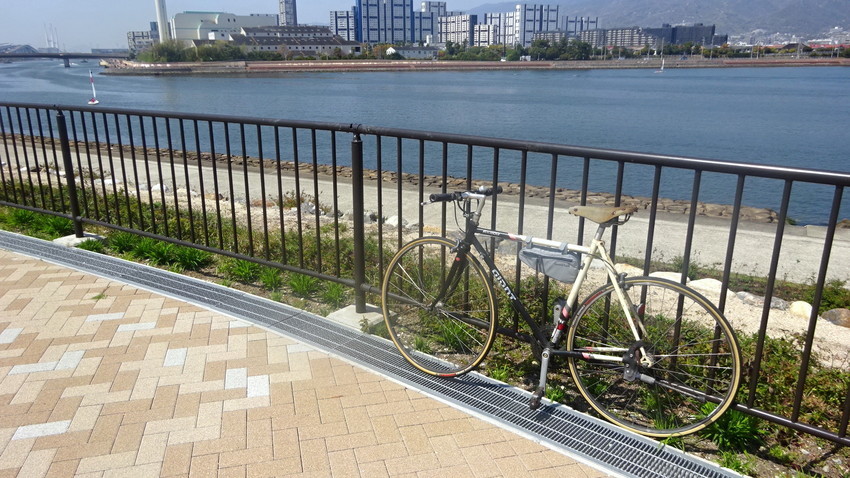 f:id:shioshiohida:20220409113448j:plain