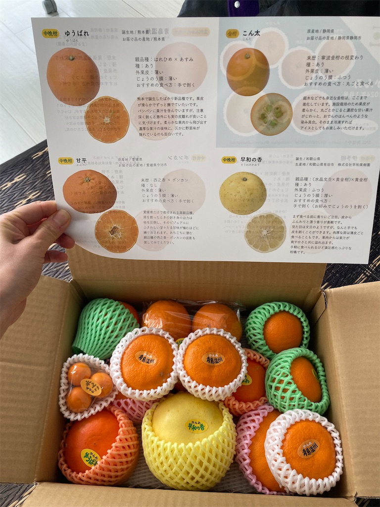f:id:shiosu39:20240209175615j:image f:id:shiosu39:20240209175615j:image