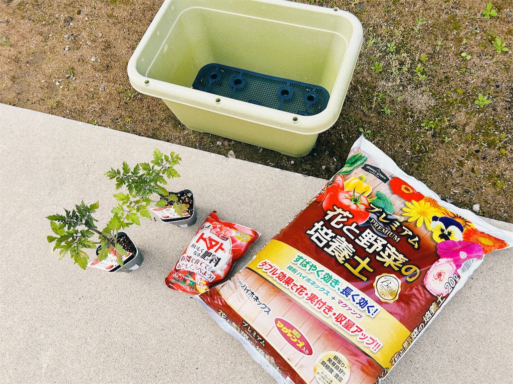 初心者が何も考えずにミニトマト栽培スタート。 - ゆるっと暮らしと