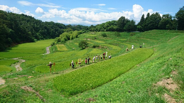 f:id:shiotaman:20160816185628j:image f:id:shiotaman:20160816185628j:image