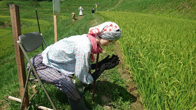 f:id:shiotaman:20160816210038j:image f:id:shiotaman:20160816210038j:image