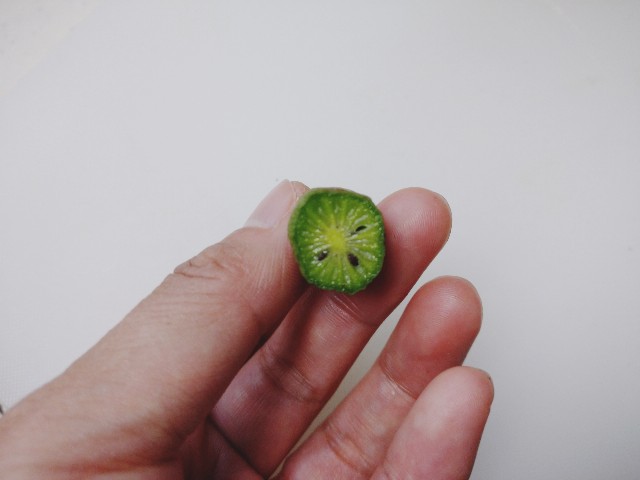 f:id:shiotaman:20201228170802j:image
