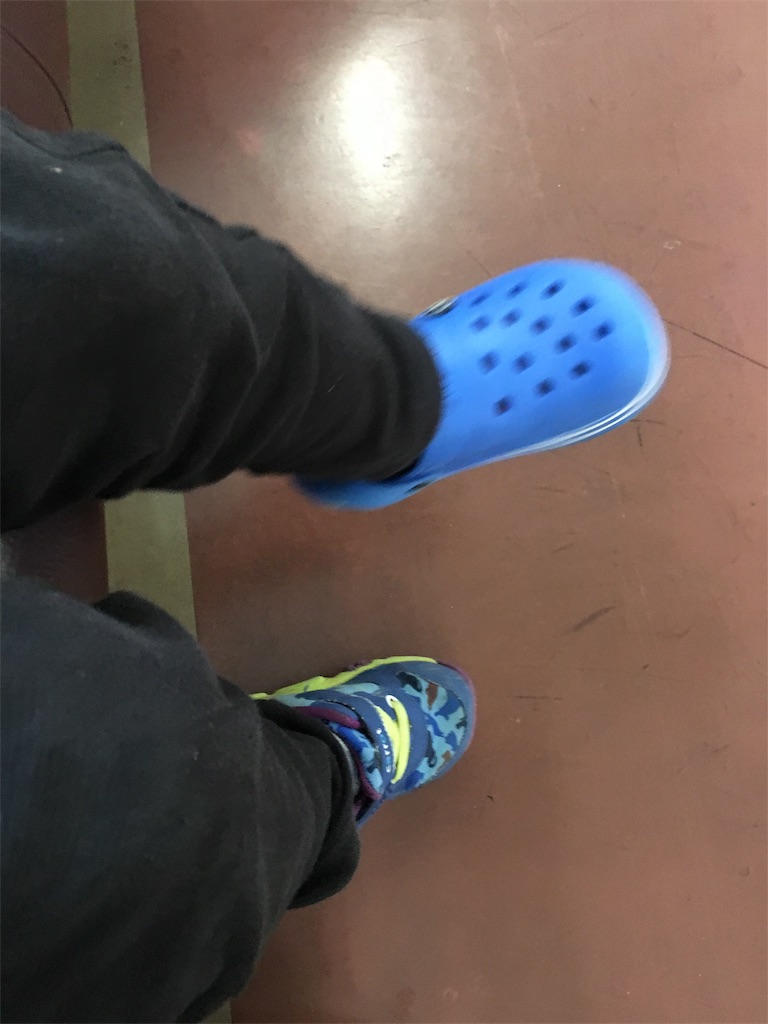 f:id:shiotani-ranch:20190313202807j:image