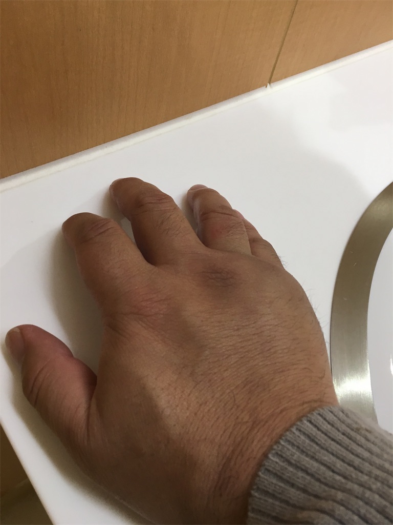 f:id:shiotani-ranch:20190328054343j:image