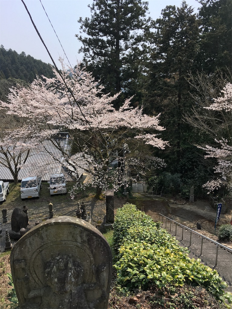 f:id:shiotani-ranch:20190414093009j:image