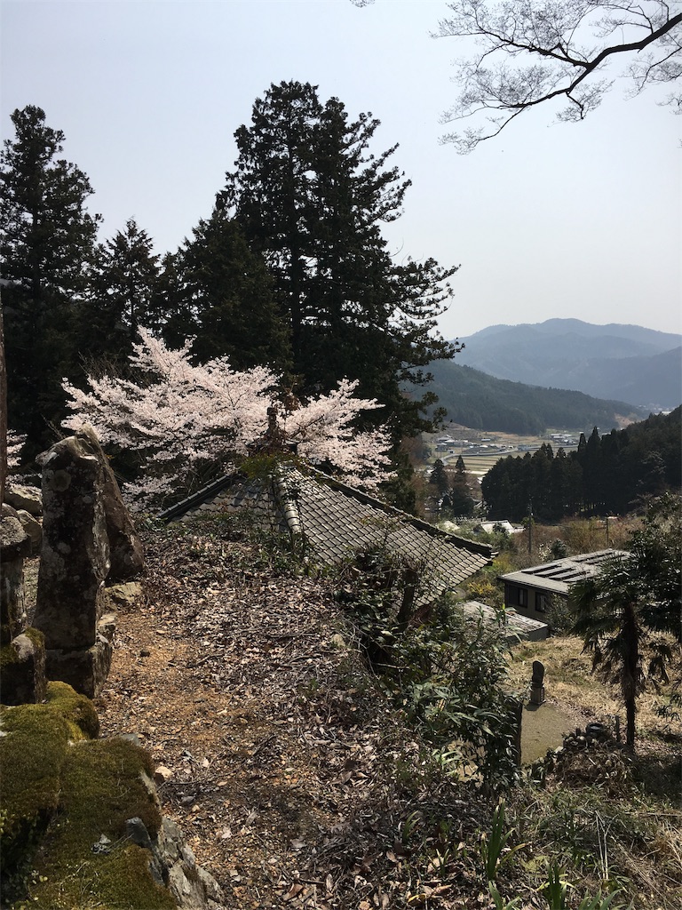 f:id:shiotani-ranch:20190414093706j:image