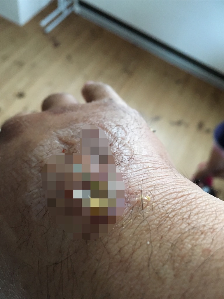 f:id:shiotani-ranch:20190418061118j:image