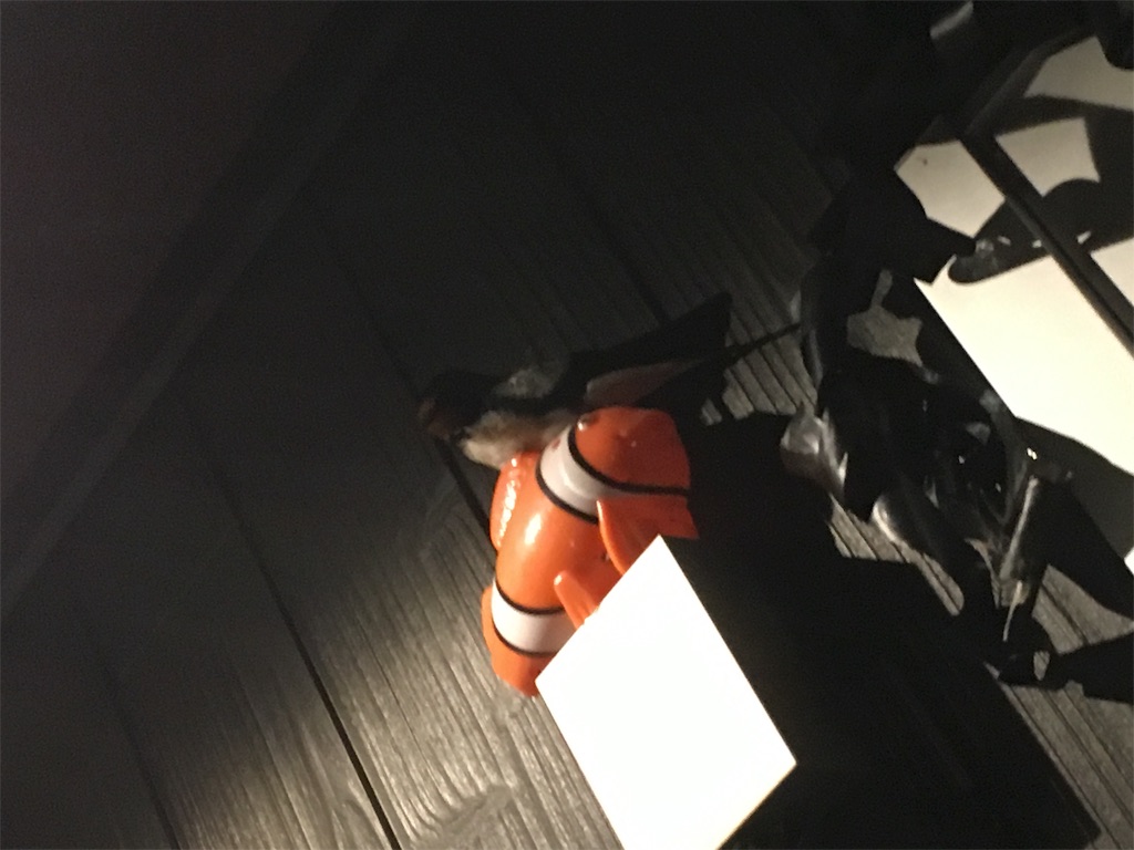 f:id:shiotani-ranch:20190425215200j:image f:id:shiotani-ranch:20190425215200j:image