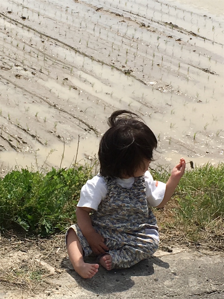 f:id:shiotani-ranch:20190505173331j:image f:id:shiotani-ranch:20190505173331j:image