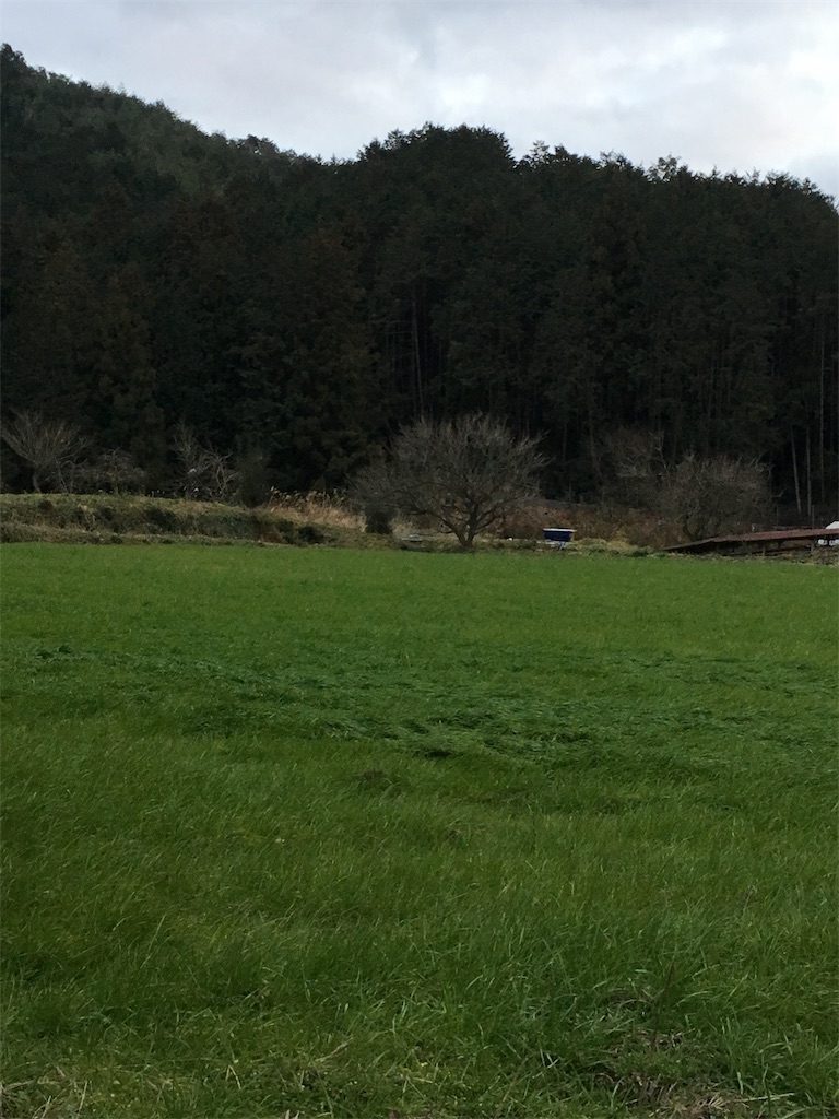 f:id:shiotani-ranch:20190511095701j:image f:id:shiotani-ranch:20190511095701j:image