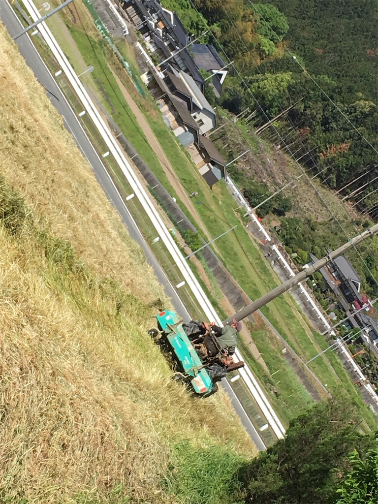 f:id:shiotani-ranch:20190511095840j:image f:id:shiotani-ranch:20190511095840j:image