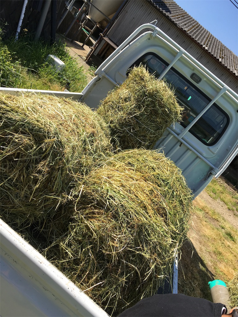 f:id:shiotani-ranch:20190511095910j:image f:id:shiotani-ranch:20190511095910j:image