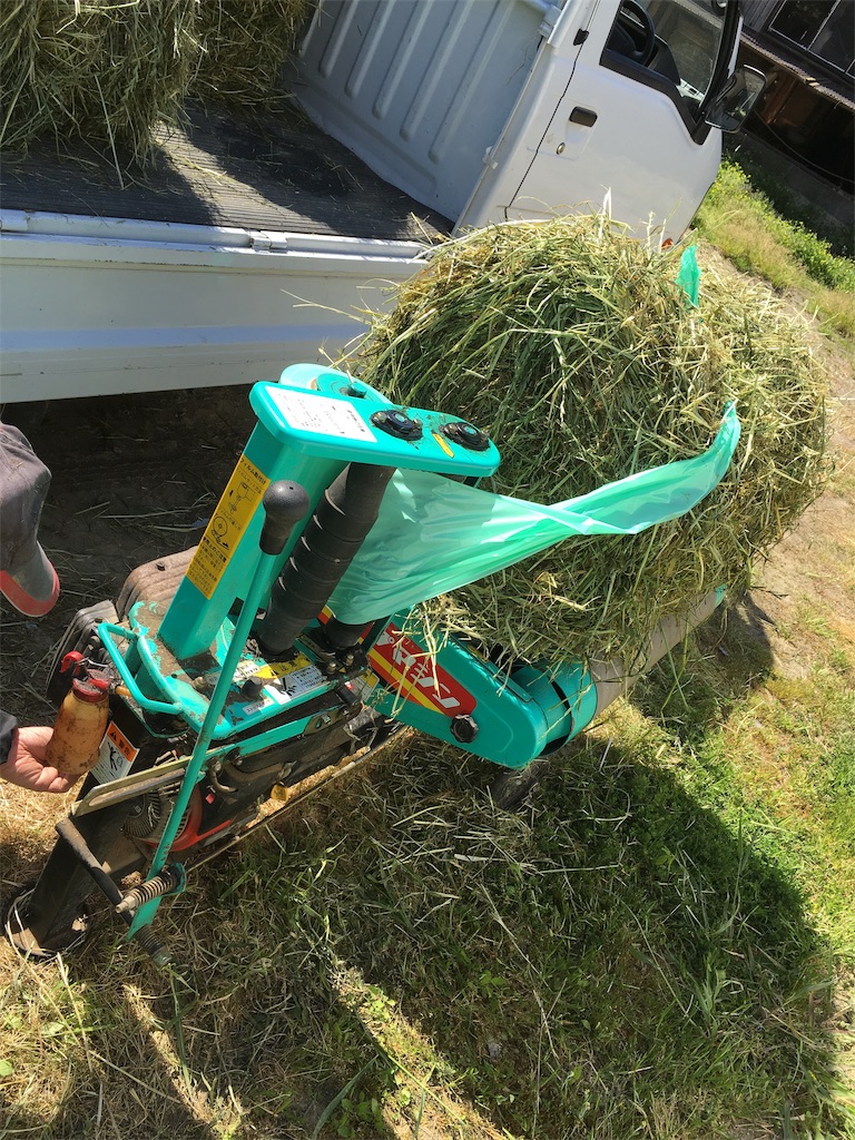 f:id:shiotani-ranch:20190511095926j:image f:id:shiotani-ranch:20190511095926j:image