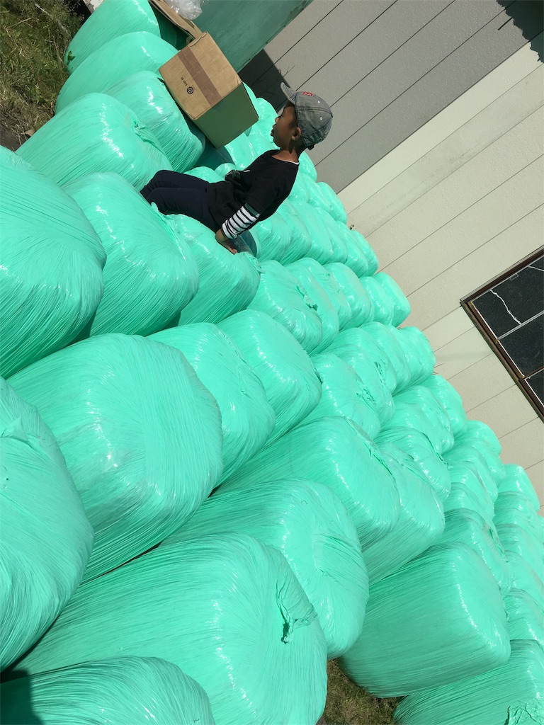 f:id:shiotani-ranch:20190511095956j:image f:id:shiotani-ranch:20190511095956j:image