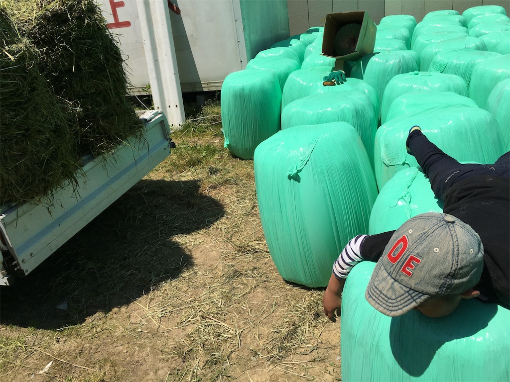f:id:shiotani-ranch:20190511135817j:image f:id:shiotani-ranch:20190511135817j:image