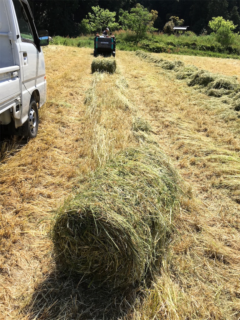 f:id:shiotani-ranch:20190511143814j:image f:id:shiotani-ranch:20190511143814j:image