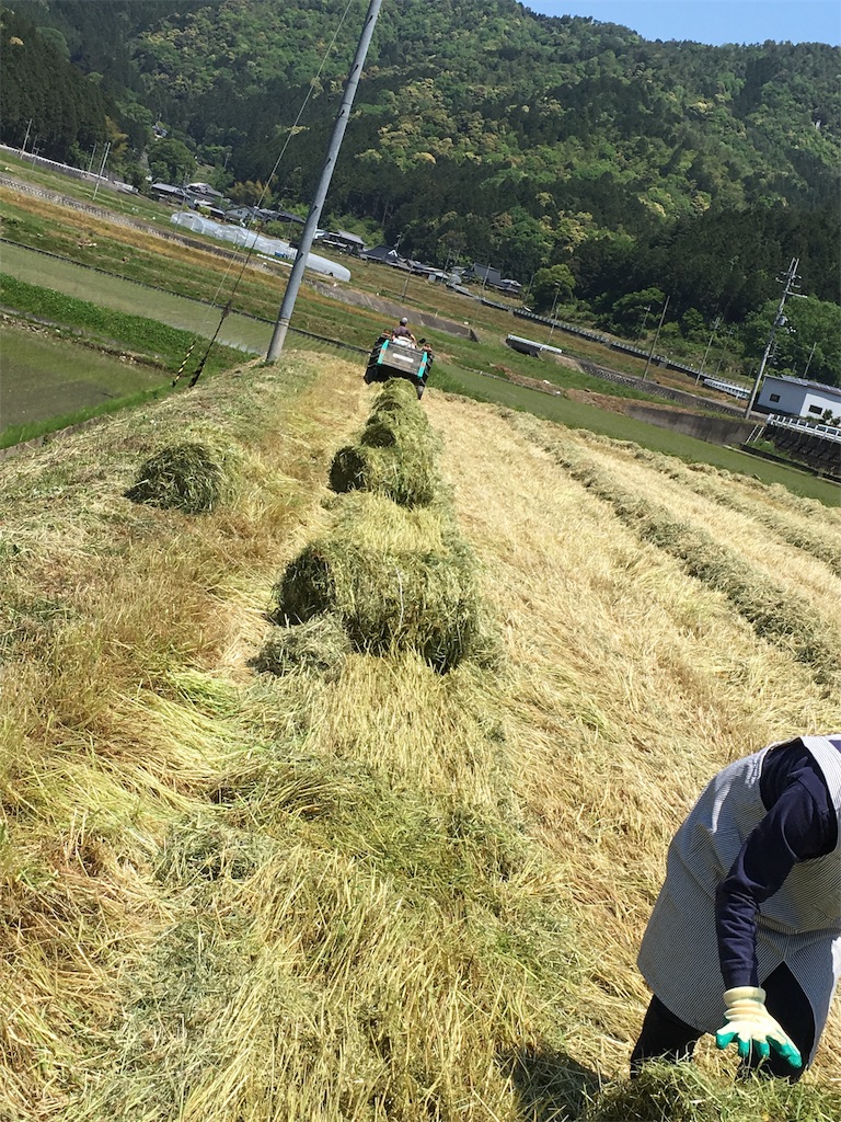 f:id:shiotani-ranch:20190511173514j:image f:id:shiotani-ranch:20190511173514j:image
