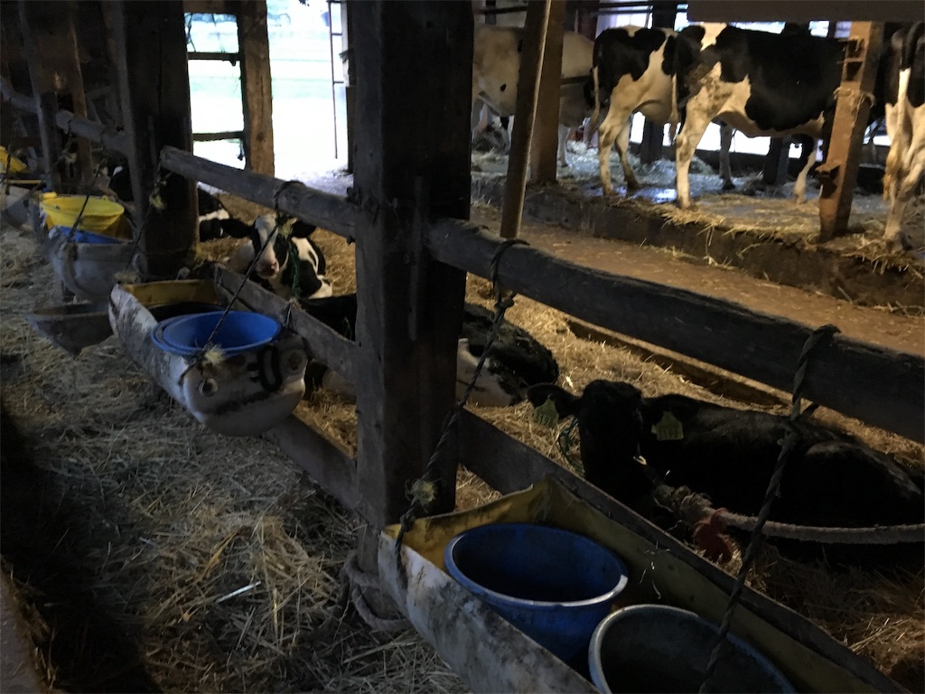 f:id:shiotani-ranch:20190801123506j:image f:id:shiotani-ranch:20190801123506j:image
