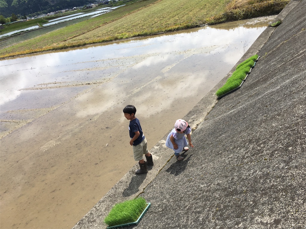 f:id:shiotani-ranch:20200505073724j:image f:id:shiotani-ranch:20200505073724j:image