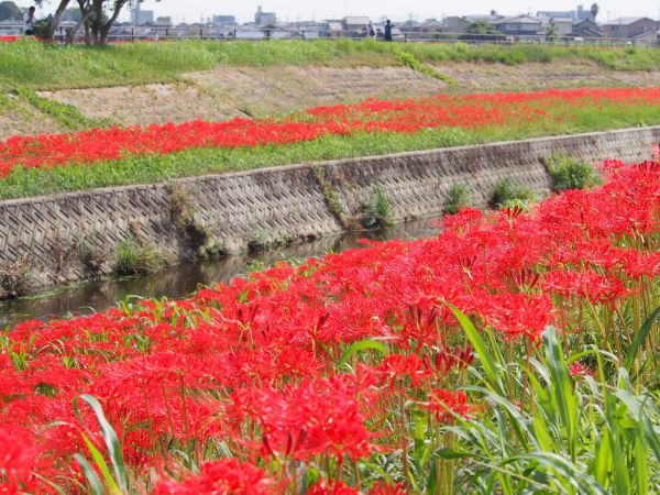 f:id:shioumi:20190929210033j:plain f:id:shioumi:20190929210033j:plain