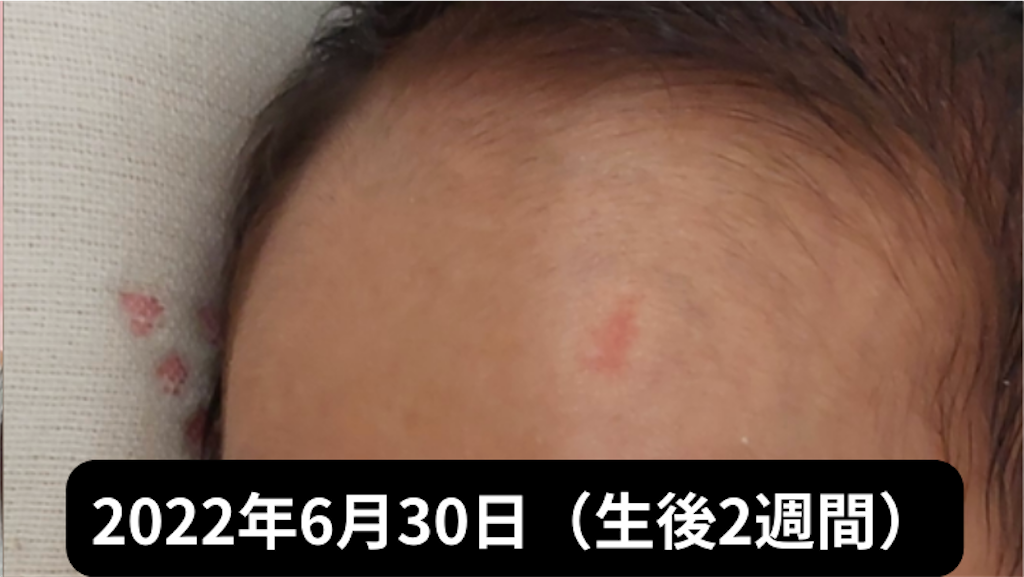 f:id:shipposhimashima_neko:20230121044954p:image