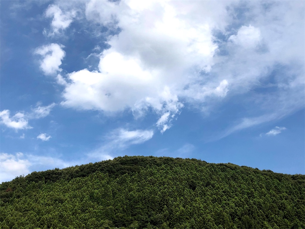 f:id:shir0_usagi:20230206135617j:image