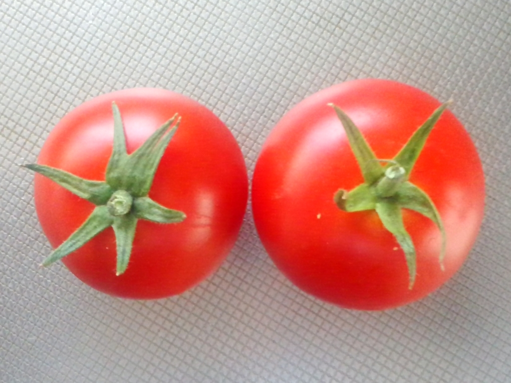 f:id:shira-j:20180602180723j:plain f:id:shira-j:20180602180723j:plain