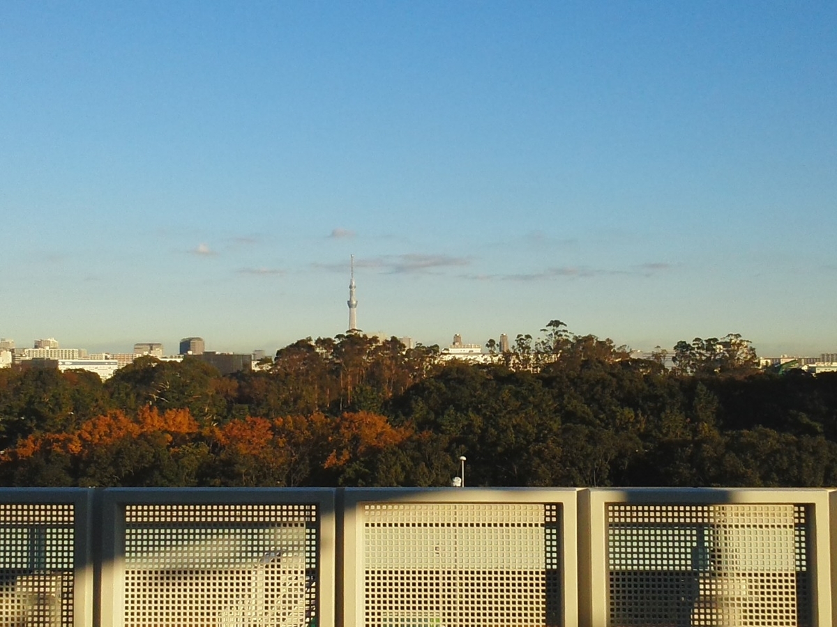 f:id:shira-j:20191207214836j:plain