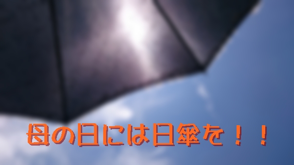 f:id:shira3356:20200224225234j:plain f:id:shira3356:20200224225234j:plain