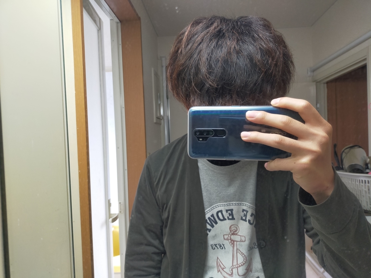 f:id:shira3356:20200523120950j:plain f:id:shira3356:20200523120950j:plain