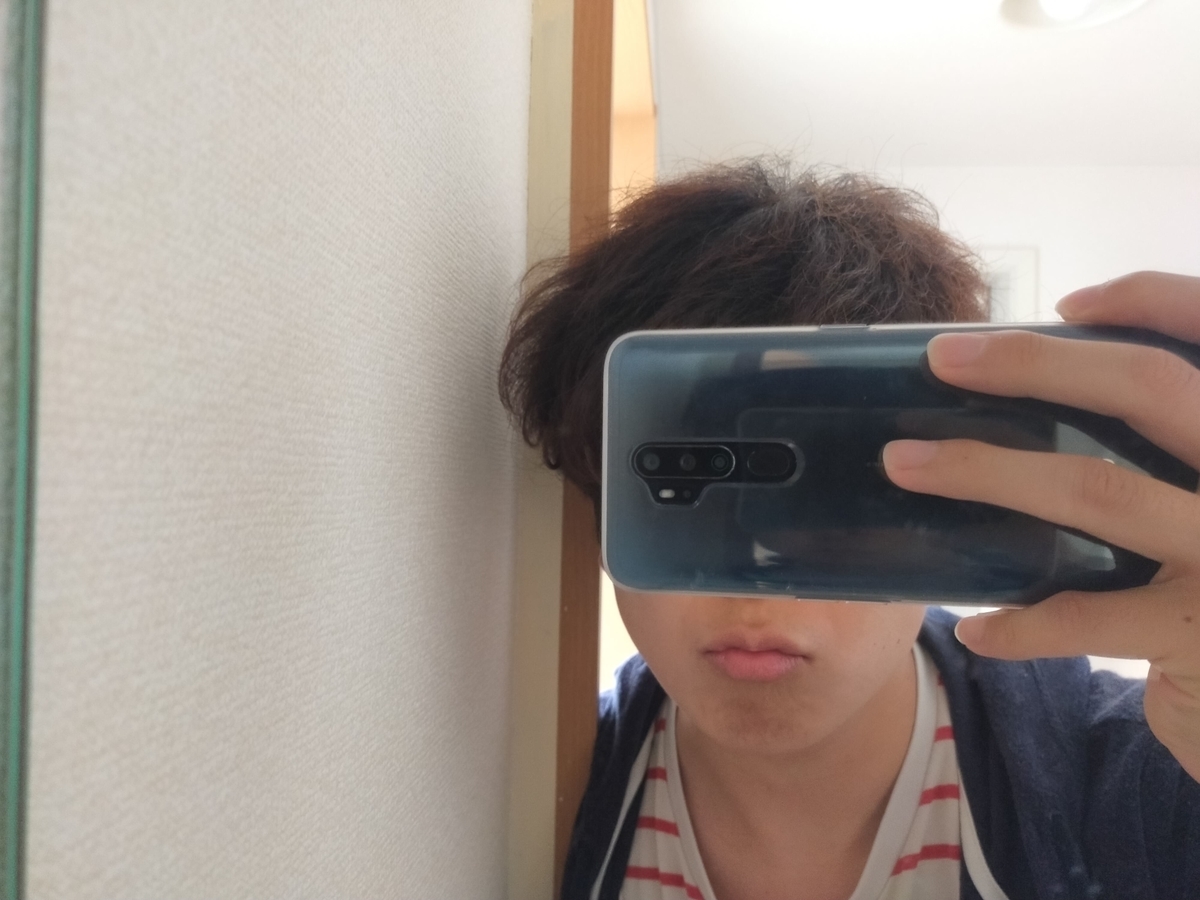 f:id:shira3356:20200523131622j:plain f:id:shira3356:20200523131622j:plain