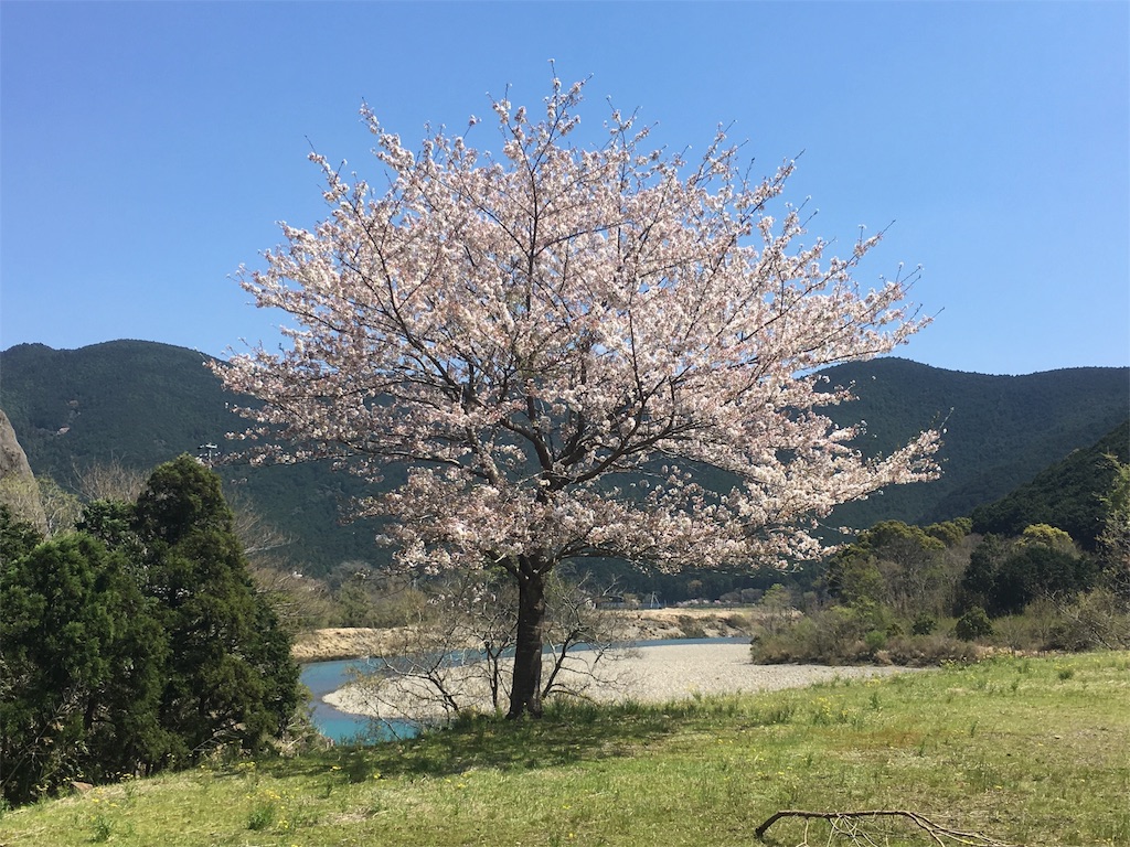f:id:shirahamaokoshi:20170414114600j:image f:id:shirahamaokoshi:20170414114600j:image