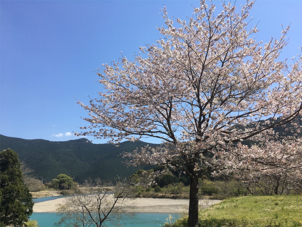 f:id:shirahamaokoshi:20170414114620j:image f:id:shirahamaokoshi:20170414114620j:image