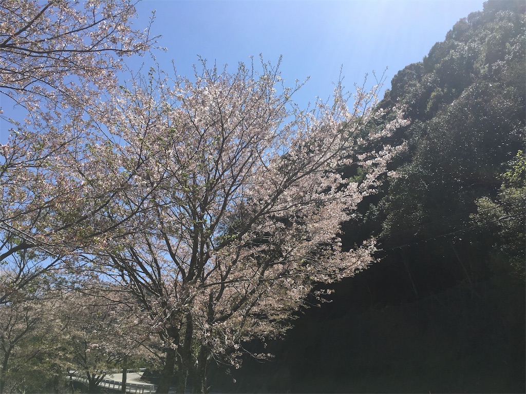 f:id:shirahamaokoshi:20170414114636j:image f:id:shirahamaokoshi:20170414114636j:image