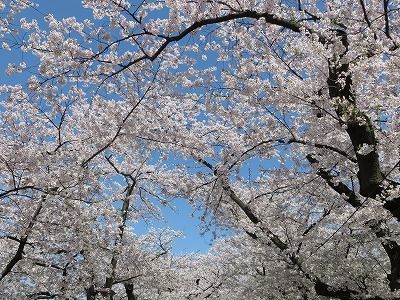 f:id:shirahashi0531:20191124175729j:plain