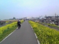 20100406102710