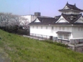 20100406111201