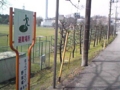 20100406113559