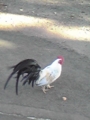 20101112140824