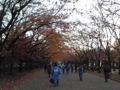 20101120163009