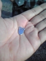 20101121125516