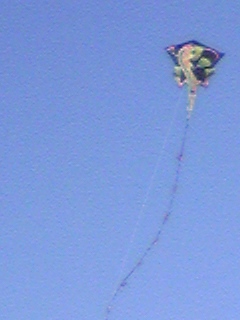 20110213123531