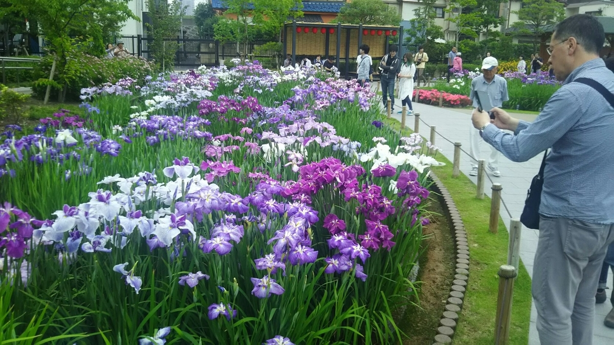 f:id:shiraike:20190604084152j:plain f:id:shiraike:20190604084152j:plain