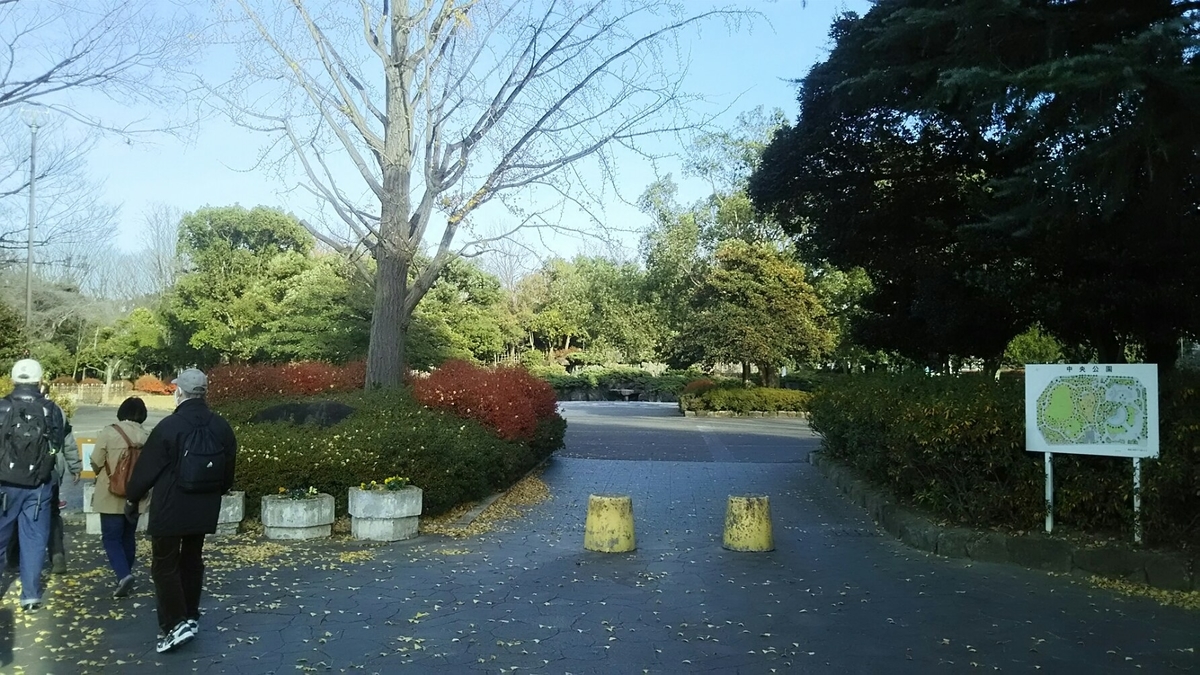 f:id:shiraike:20201214160635j:plain